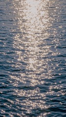 10B5D014-A64B-40BC-ABCC-A2AF8C09706A/L0/001
