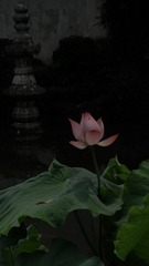 001