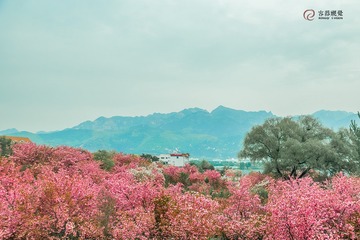 5029363