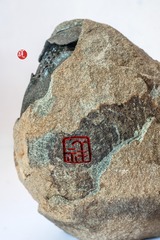 4651636