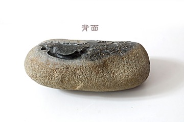 4651817