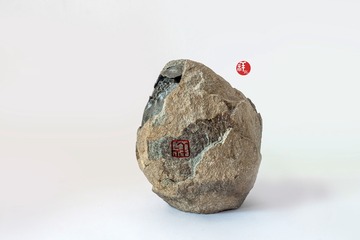 4651630