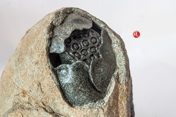 4651635