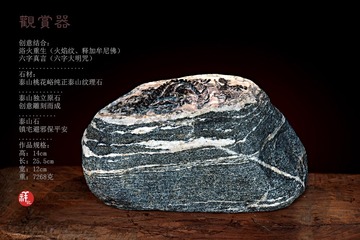 4651667