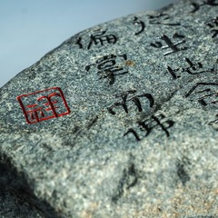 4652209