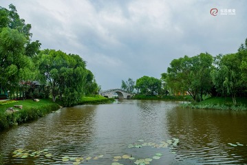 5307794