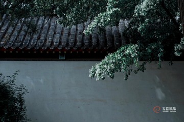 5724419