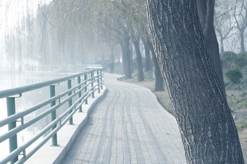4939762