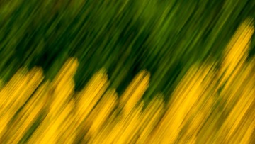 3494