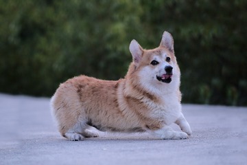 1030428
