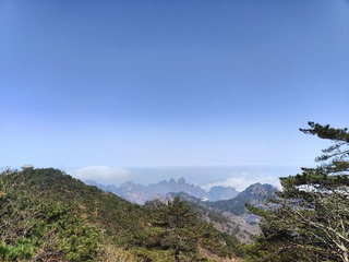1000093279