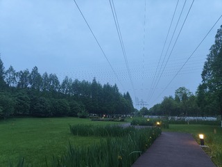 1000093793