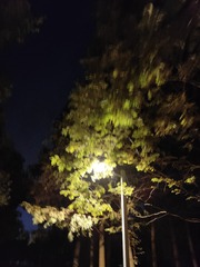 1000047969