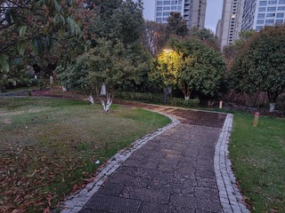 1000092065