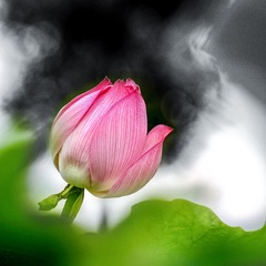 001