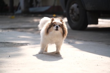 130605