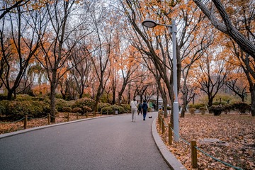 A55ED40C-16E7-4C35-88BA-5F2F22E6A1E2/L0/001