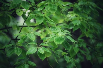6C4770F5-09E9-42D8-A88A-F1C8E25EF341/L0/001