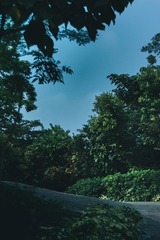 4BB4190C-A751-4F22-9CE7-D74E6A684FF3/L0/001