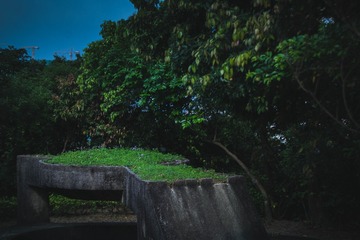 43EAFBED-21EB-4B22-B31D-27BD0B4A5006/L0/001
