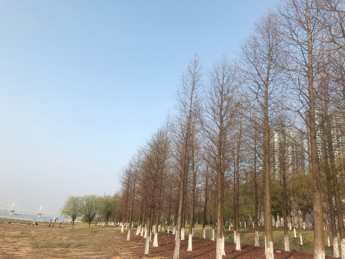 他本书苗木基地