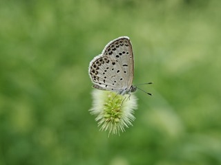 1000019862