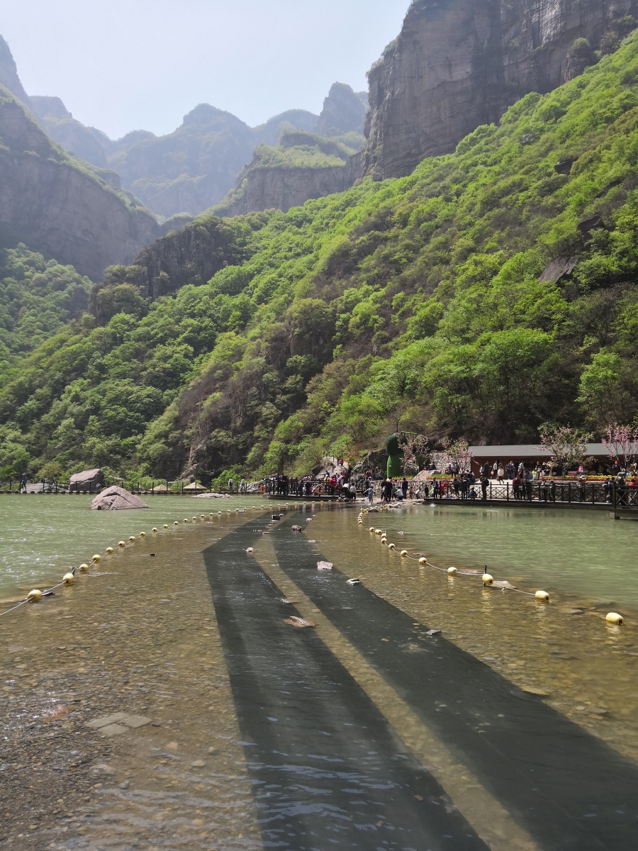 一只猫的旅行930