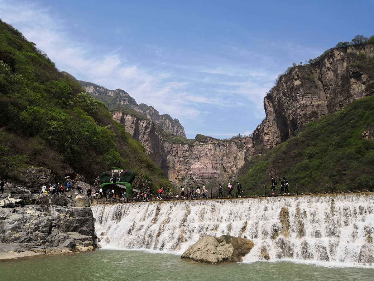 一只猫的旅行930