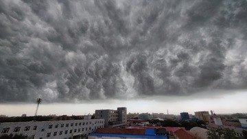 1000099579