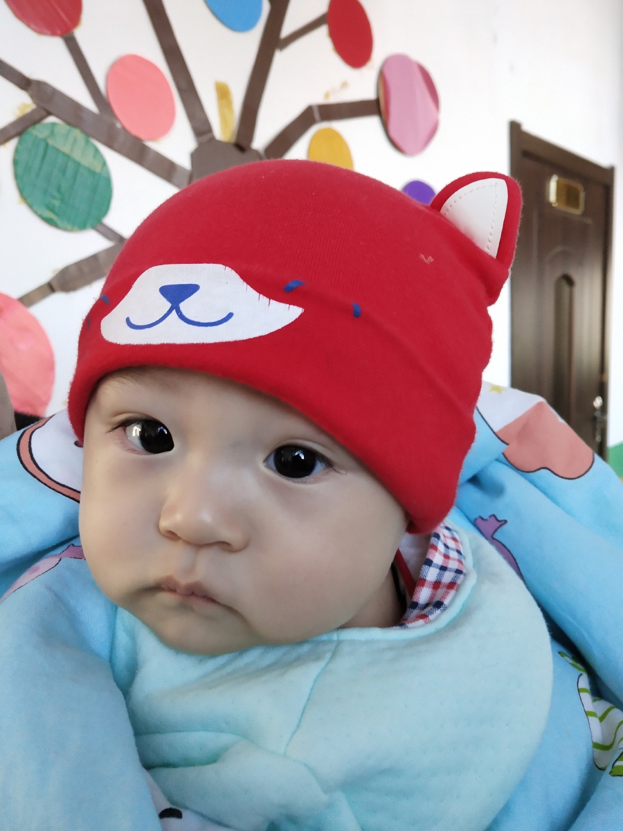 小了白了兔了白了