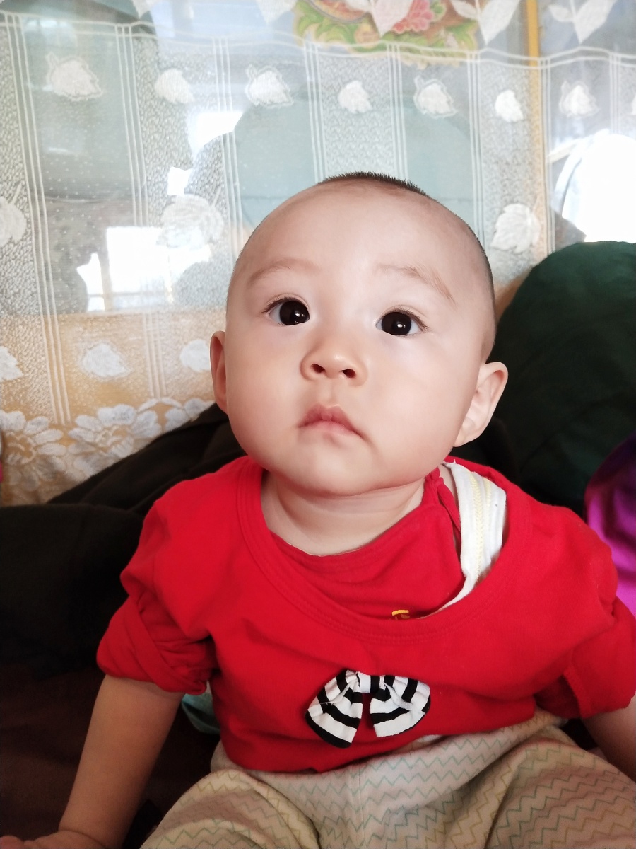 小了白了兔了白了