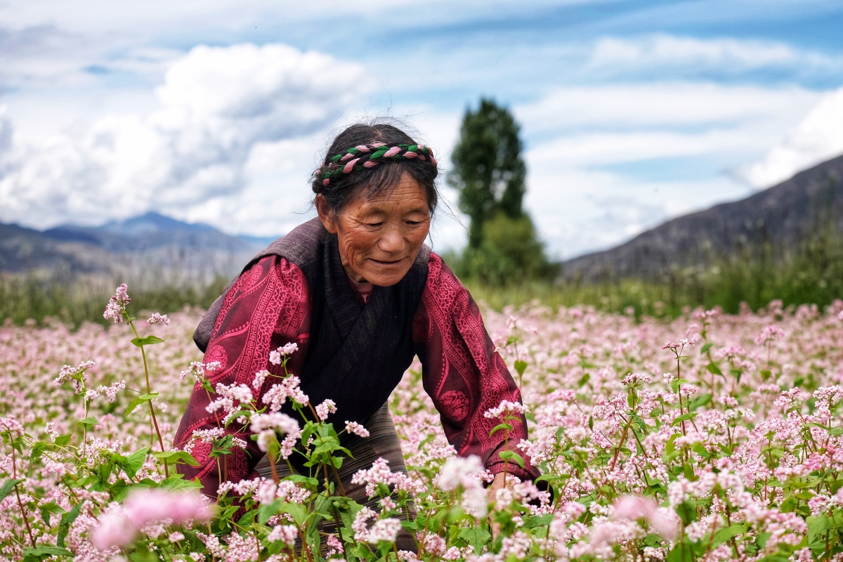 点赞是美德,打赏是鼓励打赏还没有人打赏,快来当第一个打赏的人吧