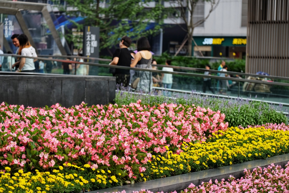 成都春熙路太古里