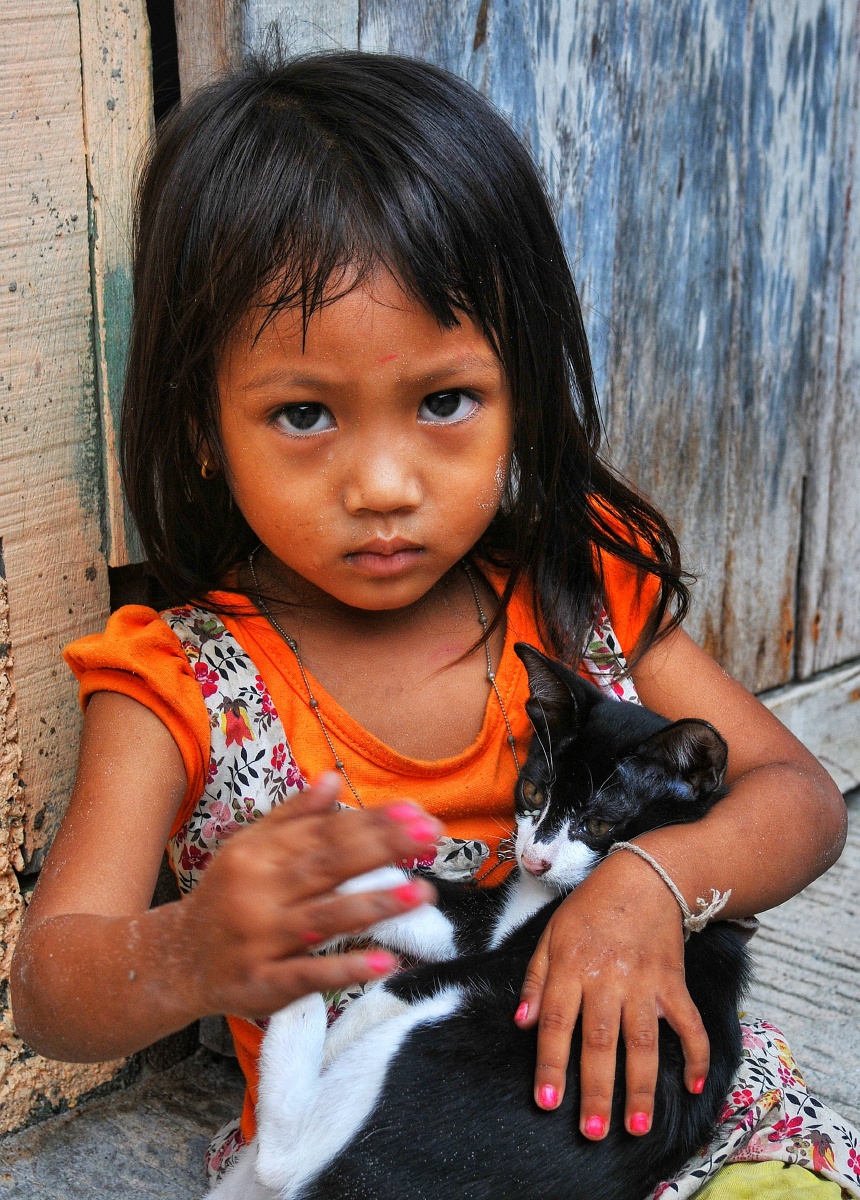 泰国小女孩和流浪小猫