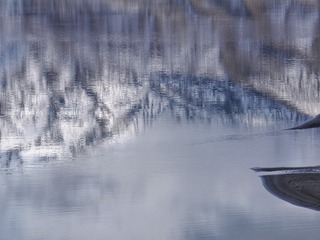 1000122636