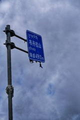 134816