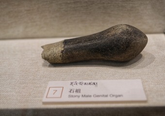 117333
