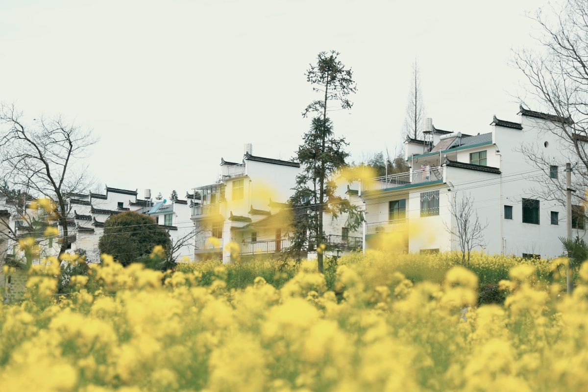 31选7走势图浙江风采 重磅 央行部署下半年工作 加快法定数字货币研发 31选7走势图浙江风采 金融 能力 人民银行 资产评估硕士