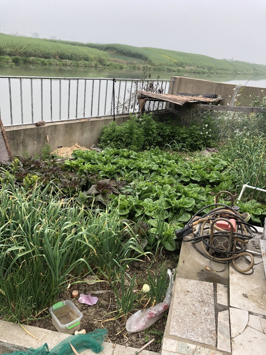 花园自动浇水系统 上海,单片机-2浇水盆自动浇水系统