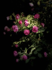 6D5EFACB-7365-40F6-B9B5-DC9C1D200AEC/L0/001