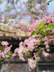 B9B99787-049B-4B6C-BA14-DB67849077F9/L0/001