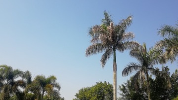 379493