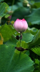 001