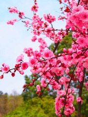1304080