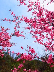 1304083