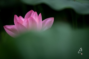 67D80120-5B15-489E-8D3D-BDF25B1F80E3/L0/001