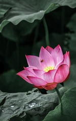 001