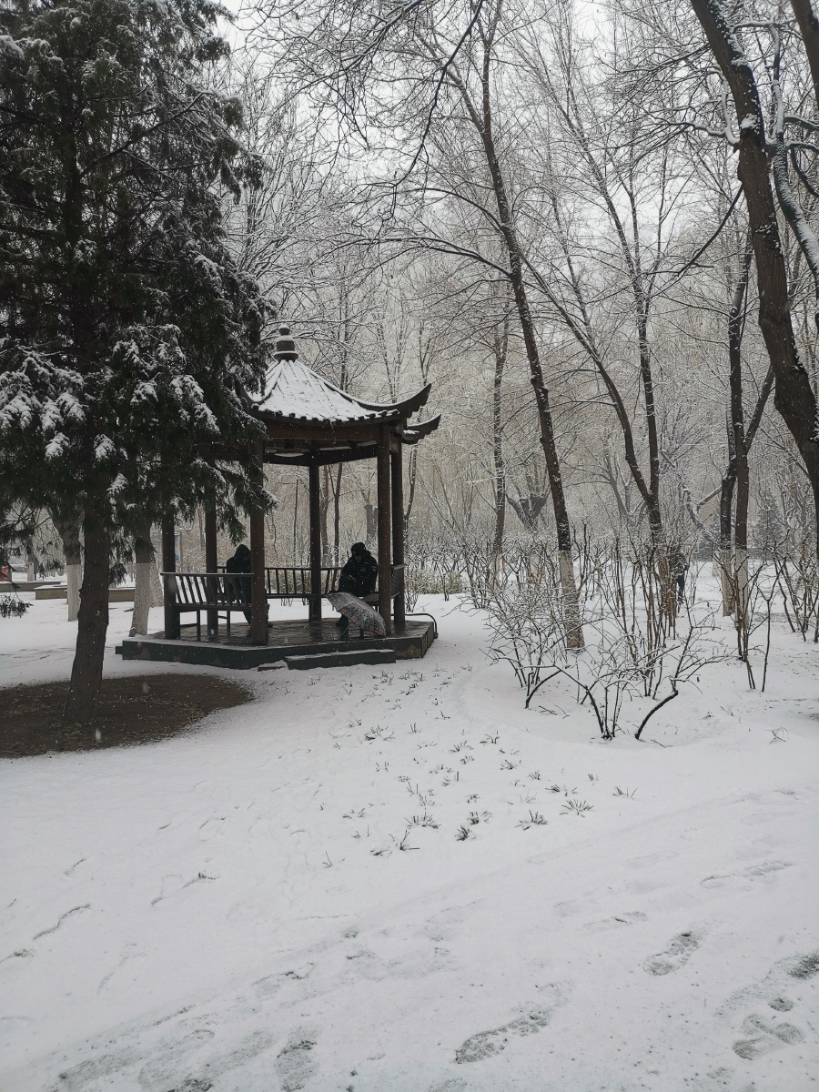 北京下雪了,多年以来最大的雪了 - 旅游摄影师天浩