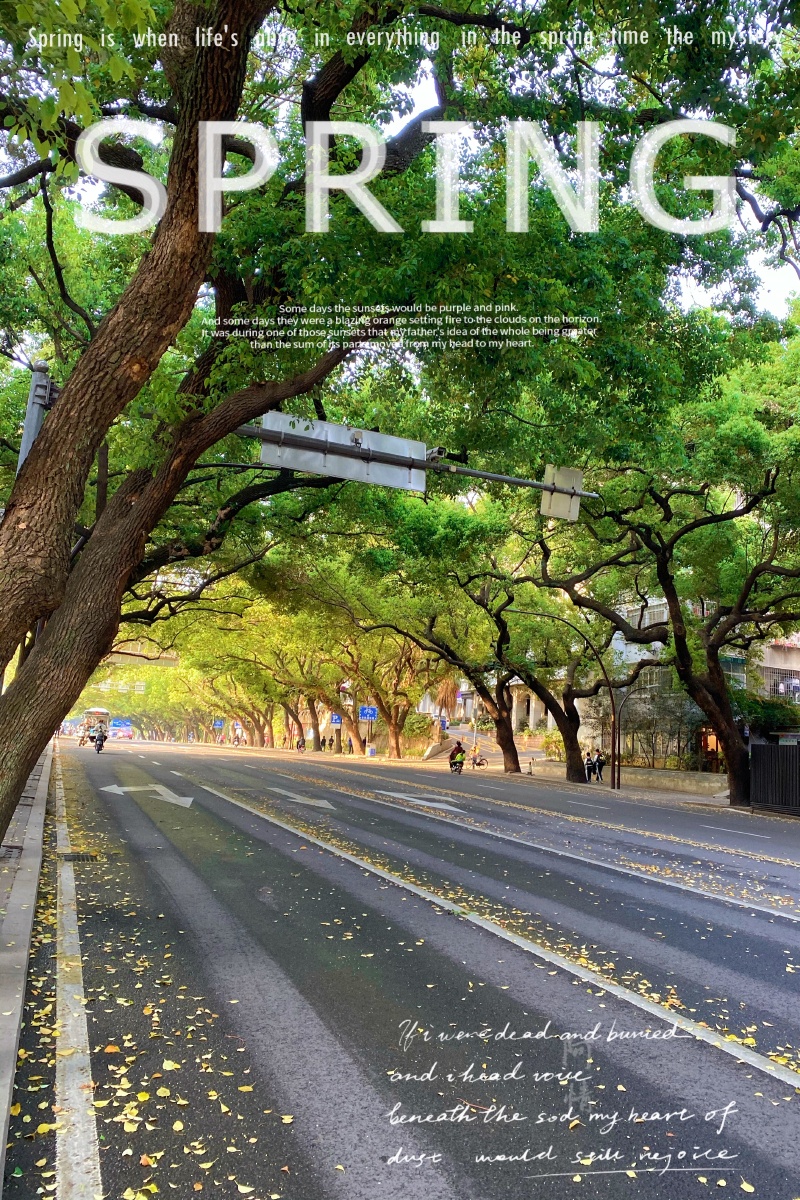 空荡的街道有春天的气息