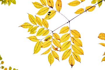 7E371F4E-2761-47D1-AAA9-7A50D5A49B73/L0/001